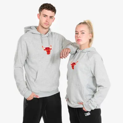 Sweat à capuche Chicago Bulls homme/femme - Hoodie 900 NBA Gris