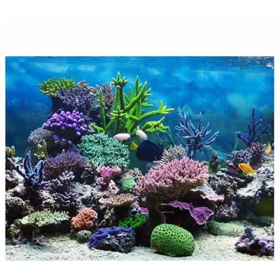 LEISEI Affiche Aquarium, Fond de Réservoir Poissons Coral Toile Décoration 3D Papier Coller Stickers Marin Plantes(61  30cm)