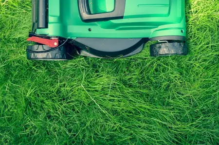 Robot tondeuse en marche