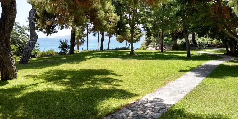 Jardin avec de l'herbe et des arbres