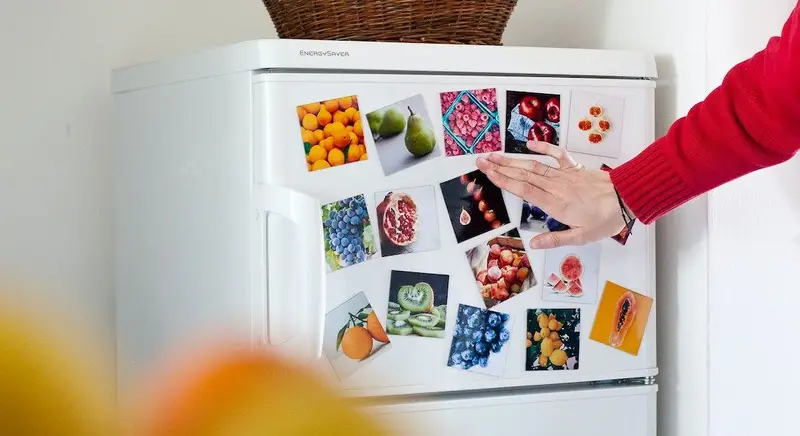 Exemple de model de frigo