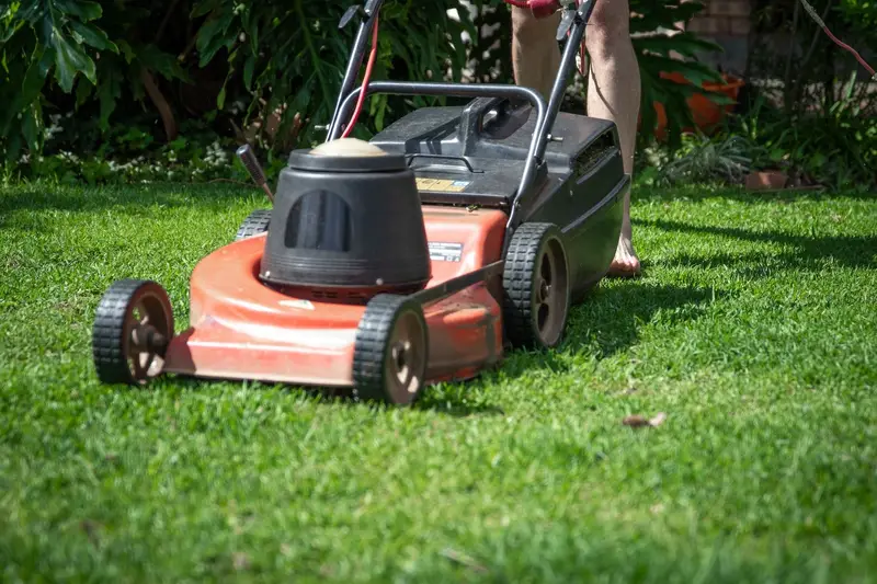 Tondeuse qui coupe de l'herbe